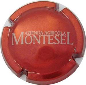 Montesel 1e
