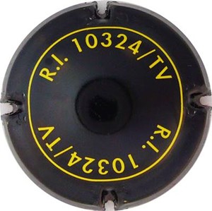 10324-TV-C  Introvigne (2)